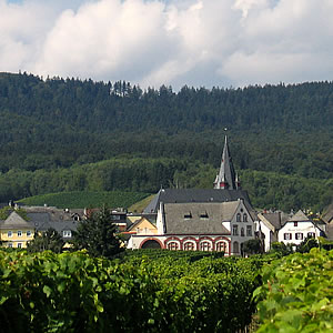 Hallgarten im Rheingau
