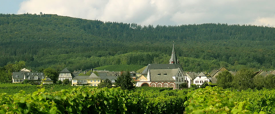 Freundeskreis Mariae Himmelfahrt Hallgarten im Rheingau e.V.